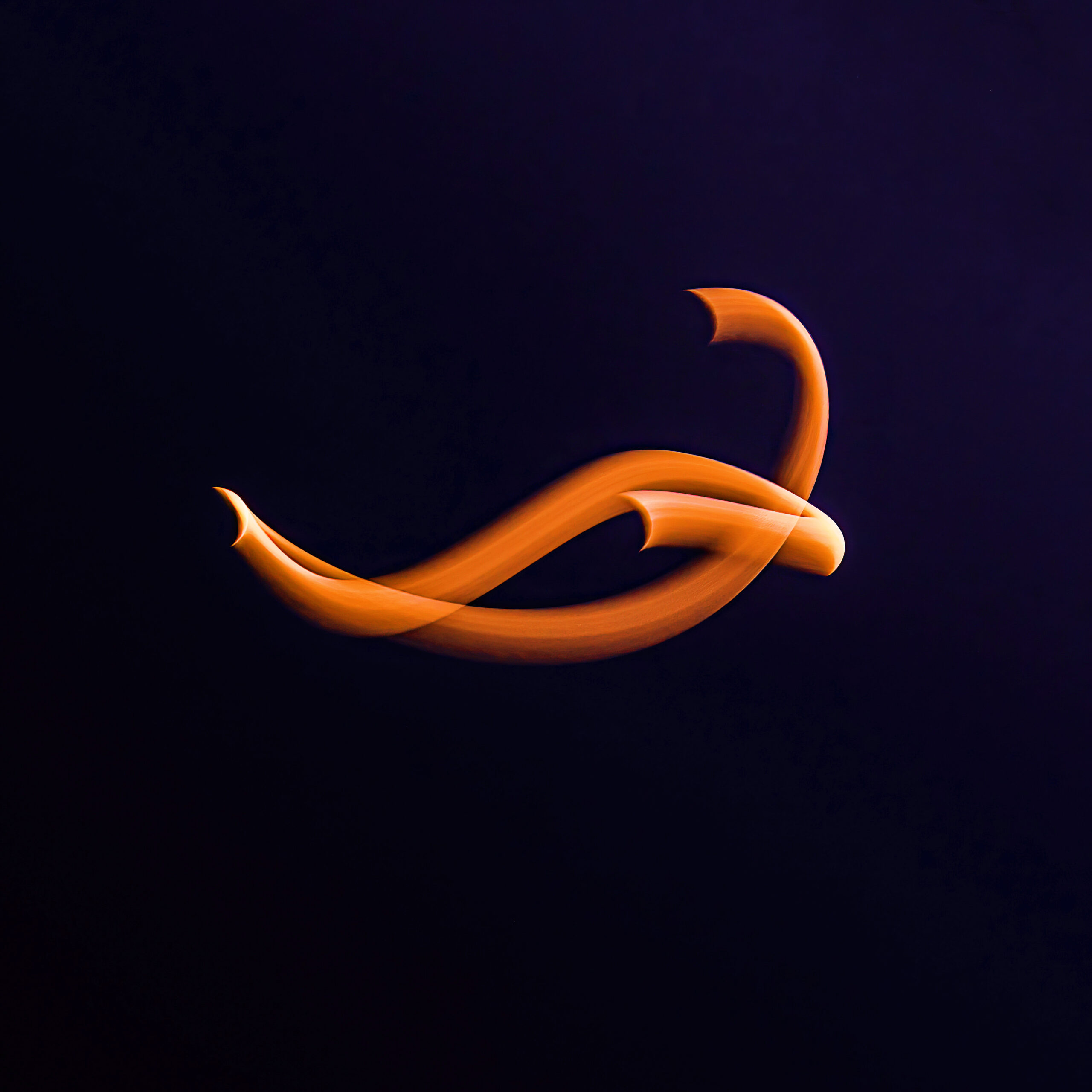 Moonlanguage — lunar calligraphy by Gisel Florez